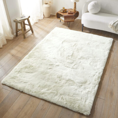 Shaggy Rugs