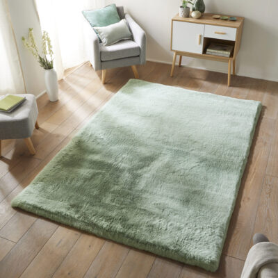 Shaggy Rugs