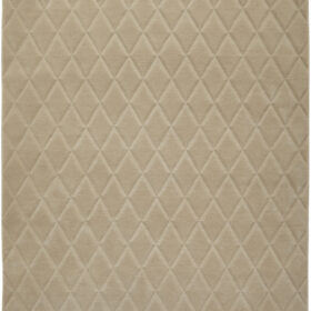 Modern  Rugs