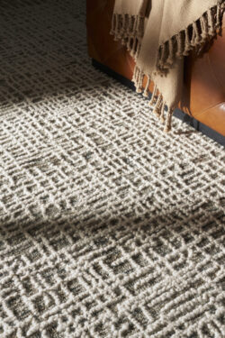 Modern Rugs