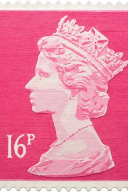 Alternative view of 16P PINK